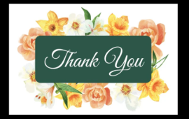 Thank You Cards